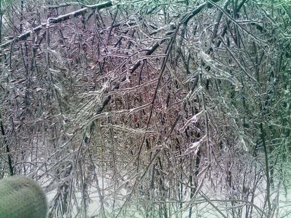 Володимир Ikar