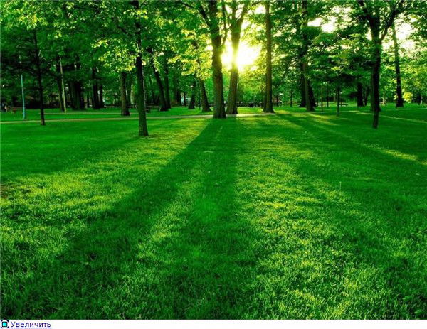 Валентина Виноградова