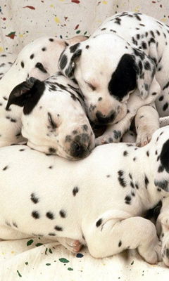 Gul'dana Kozhabergenova