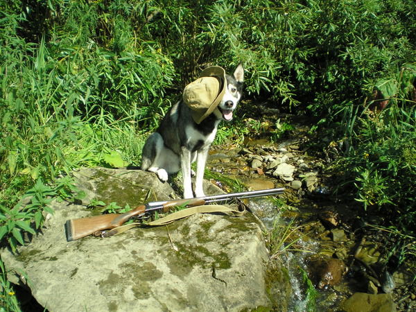 Александр Болотов