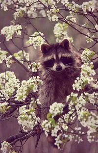 Настя Курапова