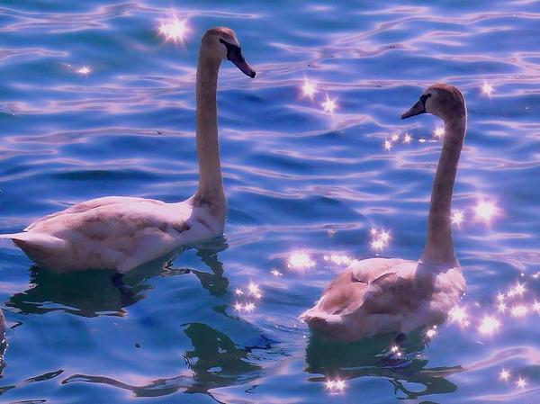 Наташа Русинова