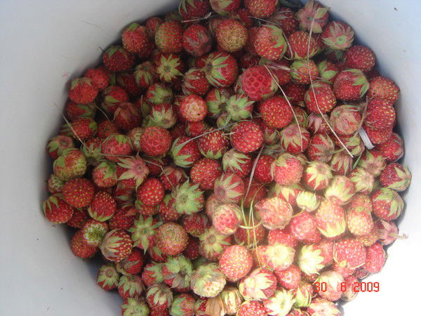 Динара Галузина