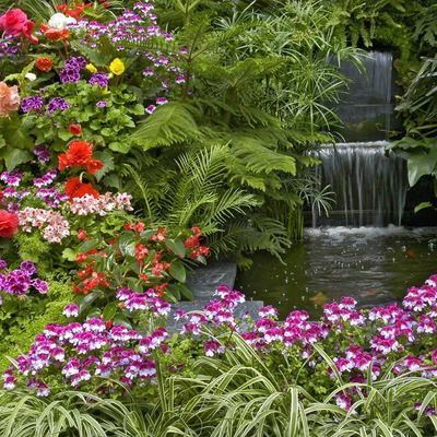 Виктория Цветкова