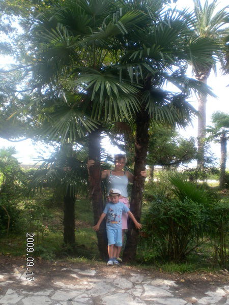 Юлия Тарасова