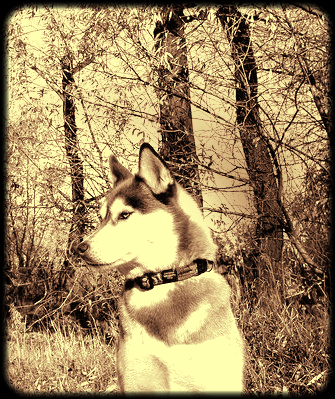 Марина Гуть