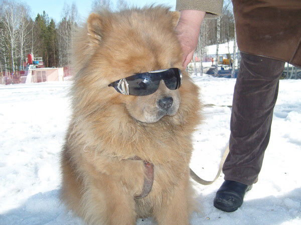 Татьяна Степанова