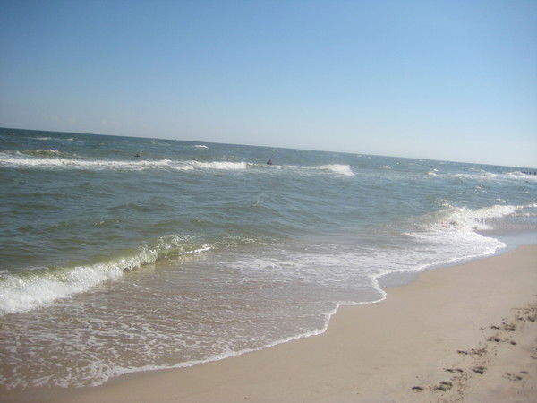 Таня Сердюк