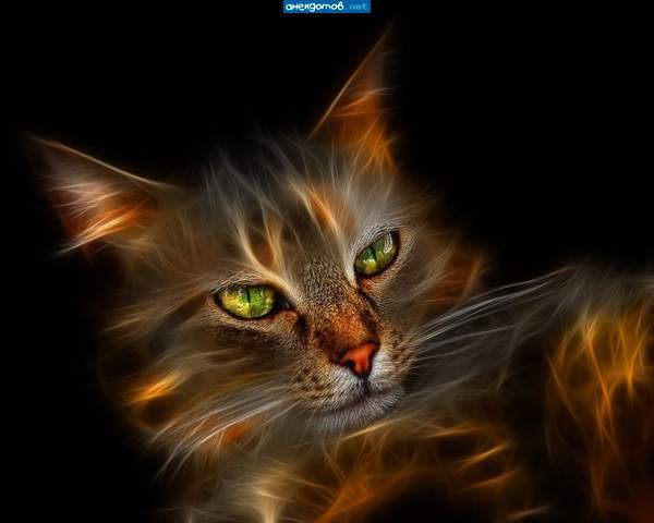 Никита Кисенко