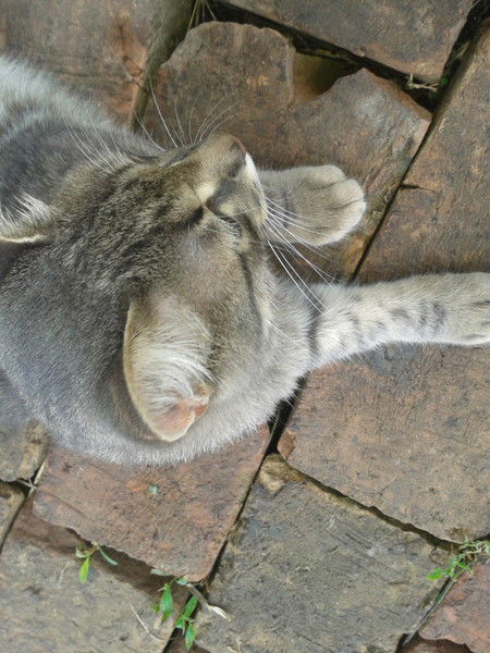 Эльвира Таминдарова