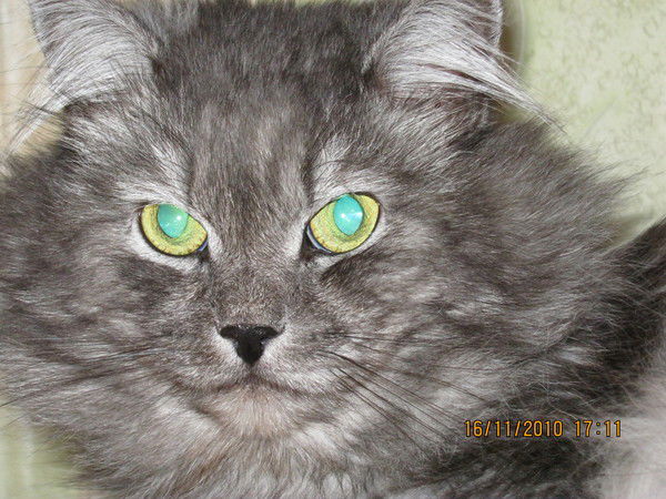 Ирина Назарова