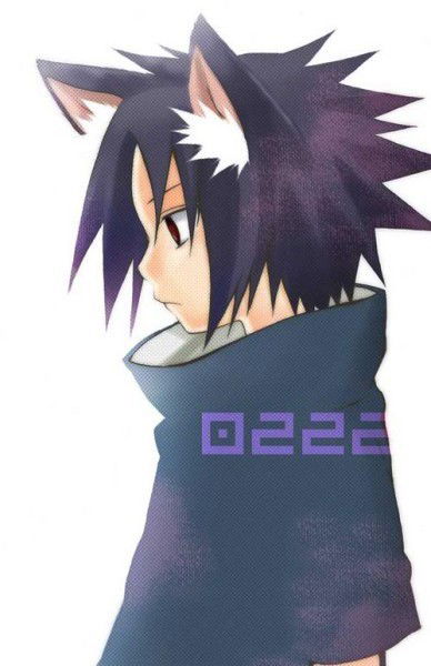 Андрей Стародуб