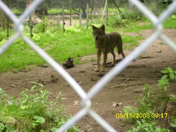 Сергей Озеров