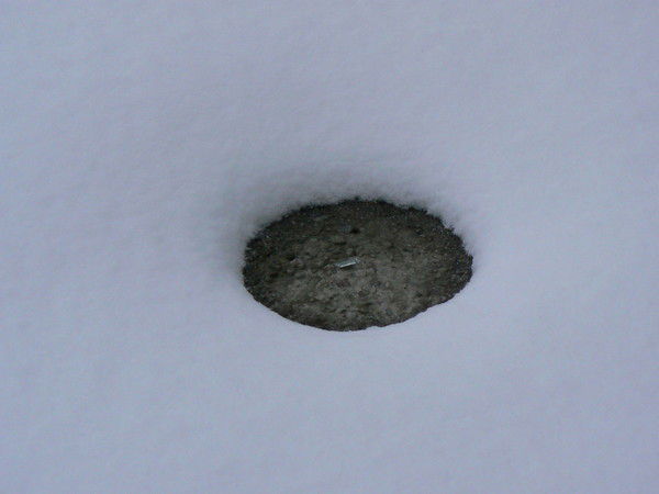 Елена Скурыдина