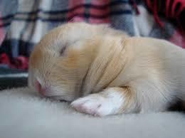 Айгуль Жумабекова