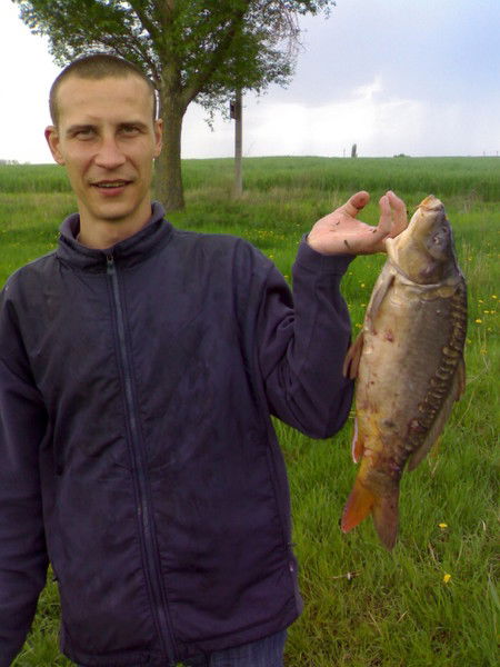 Сергей Кургушев