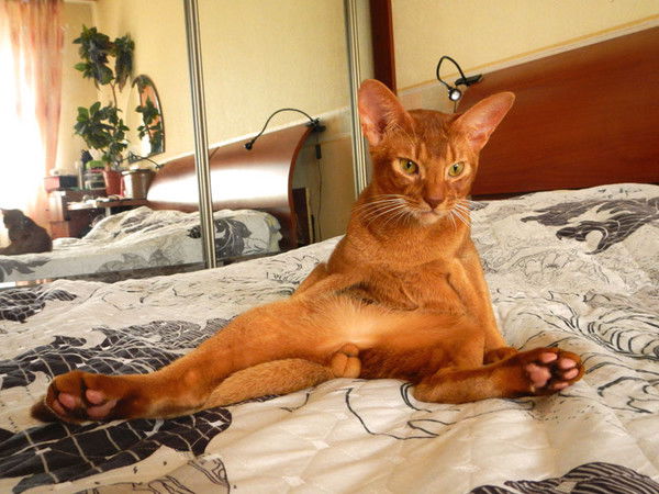 Евгений Смирнов