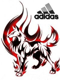 Паша Приходько