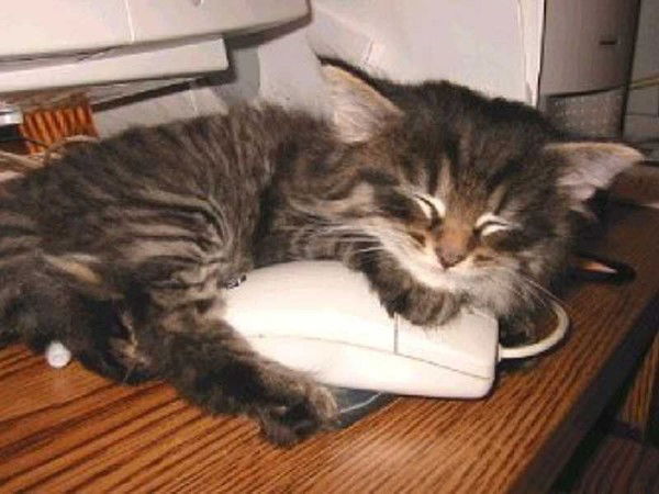 Мила Юрецкая