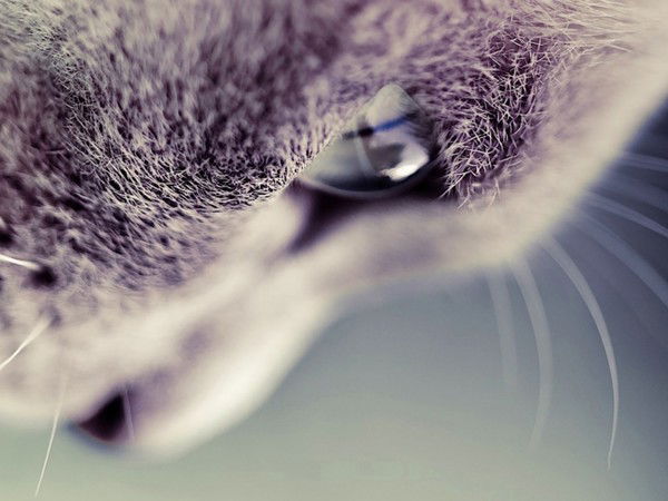 Кристина Прокофьева