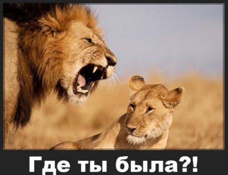 Максим Махорин