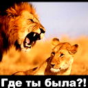 Максим Махорин