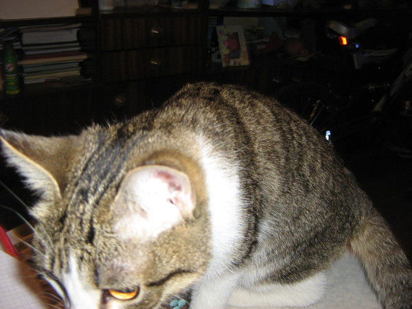 Ольга Казанцева