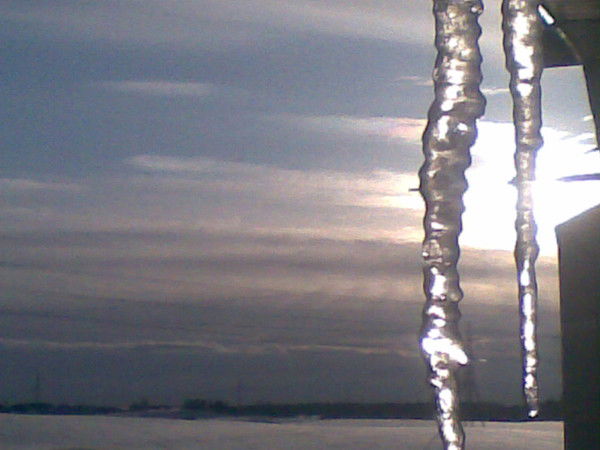 Саша Коледа