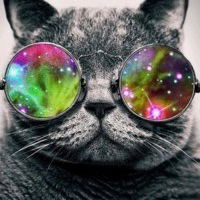 Кристина Ли