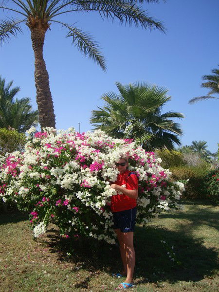 Елена Петрова