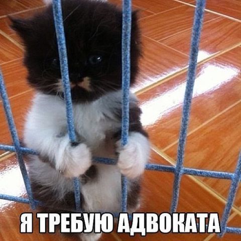 Анна Трофимова