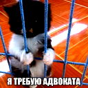 Анна Трофимова
