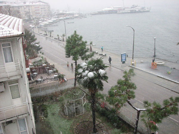 Светлана Котельникова