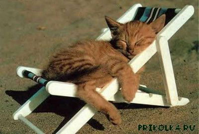 Елена Стромило