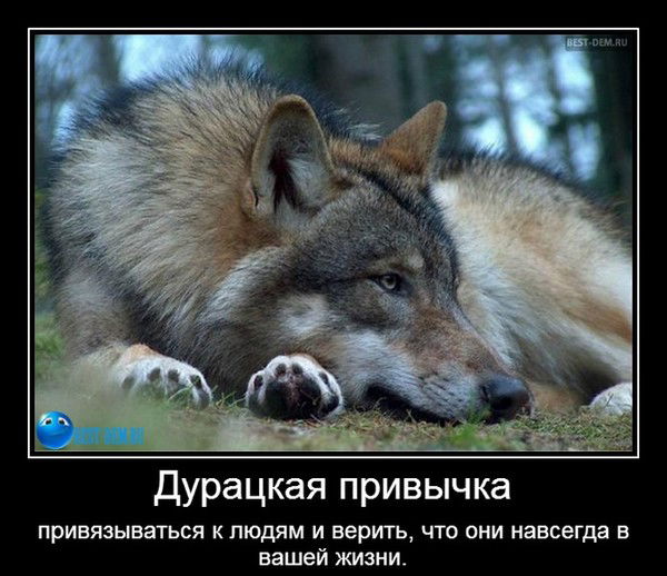 Маар Николай