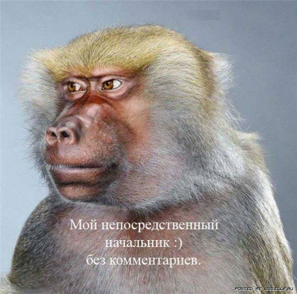 Петр Васильев