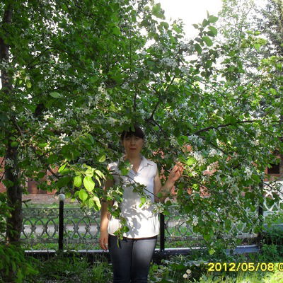 Елена Иванова