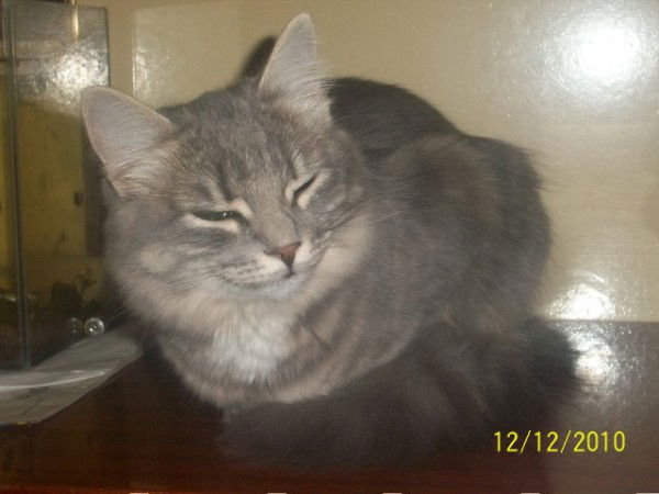 Сабанцева Татьяна