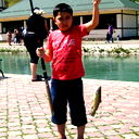 Тимур Шайхутдинов