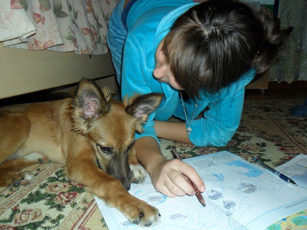 Лиза Сорокина