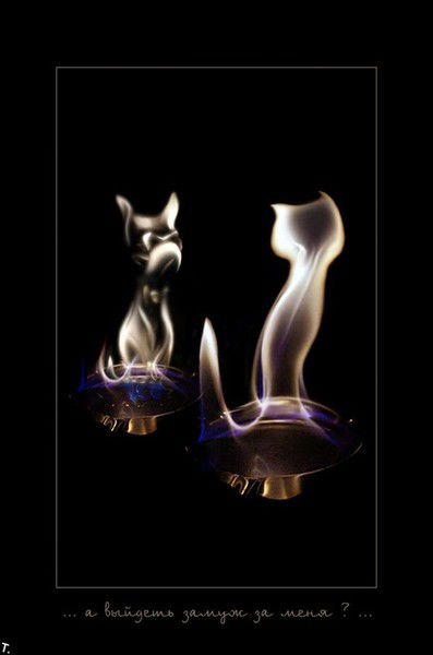 Сергей Долматов