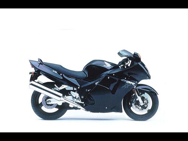 Никита Заяц