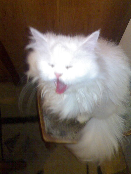 Татьяна Секрет