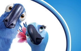 Ольга Середкина