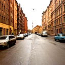 Аллома Подлесных