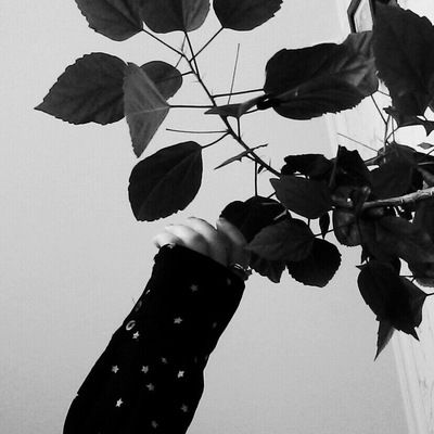 Анастасия Бакатина