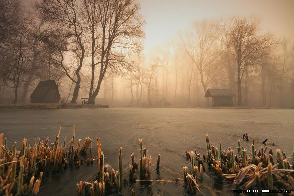 Елена Гончарова