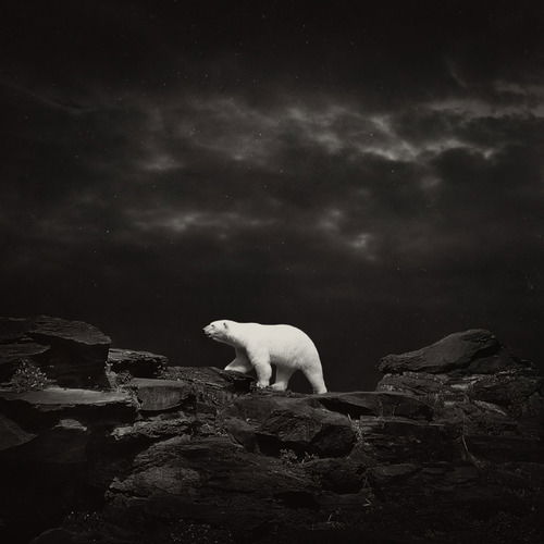 Артур Ходак