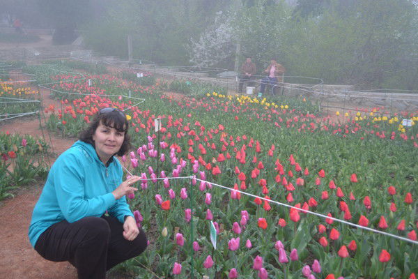 Эмилия Медведева