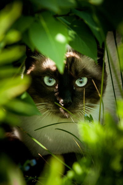 Ольга Брускова